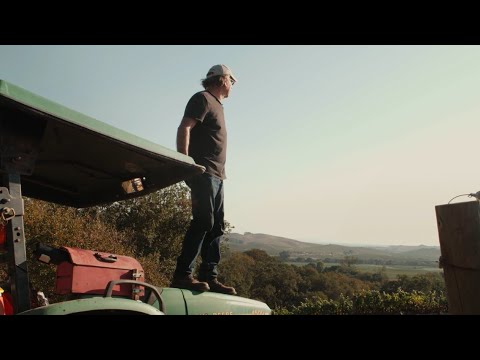 Pouring Passion: The Story Behind Elkhorn Peak Cabernet Sauvignon