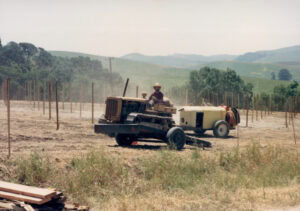 Vintage photo of a man operating a tractor in a newly staked vineyard surrounded by green hills.