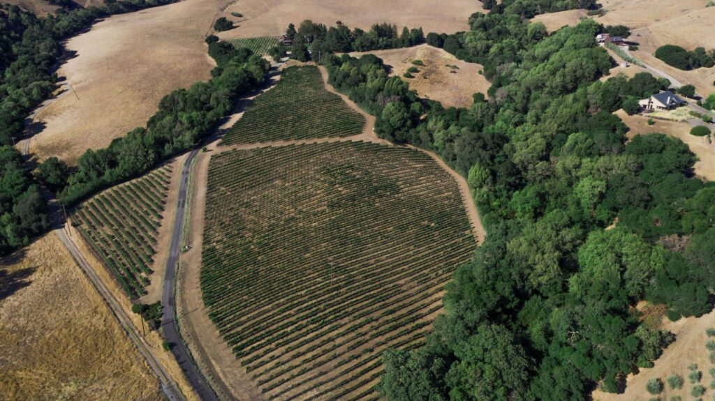 aerial photo of Elkhorn Peak estate vineyards.