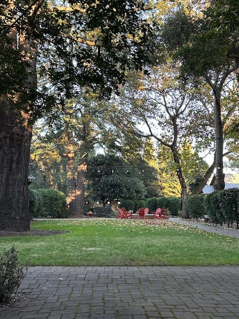 The view from our cottage, The Cottages of Napa Valley
