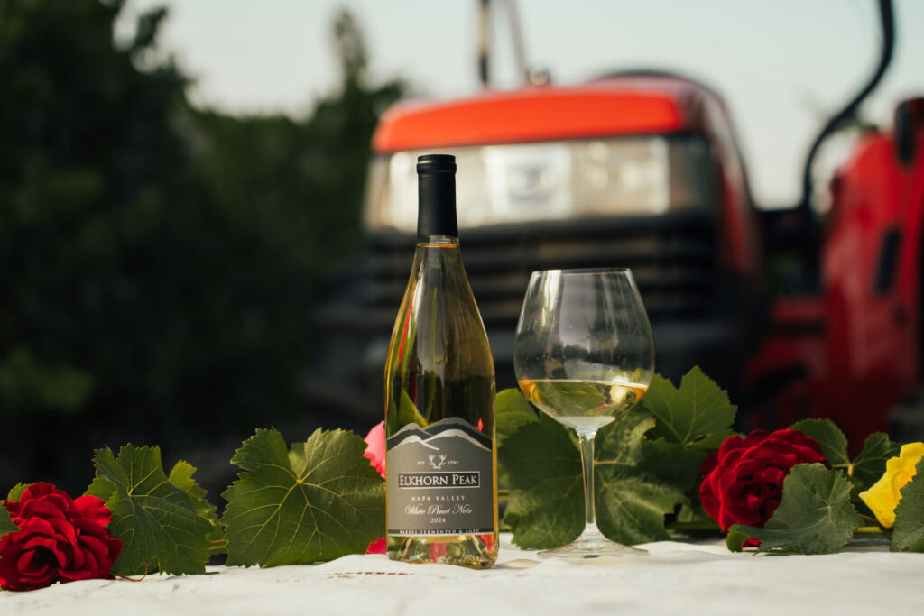 Bottle of white pinot noir on a table in a vineyard. Tractor in the background.